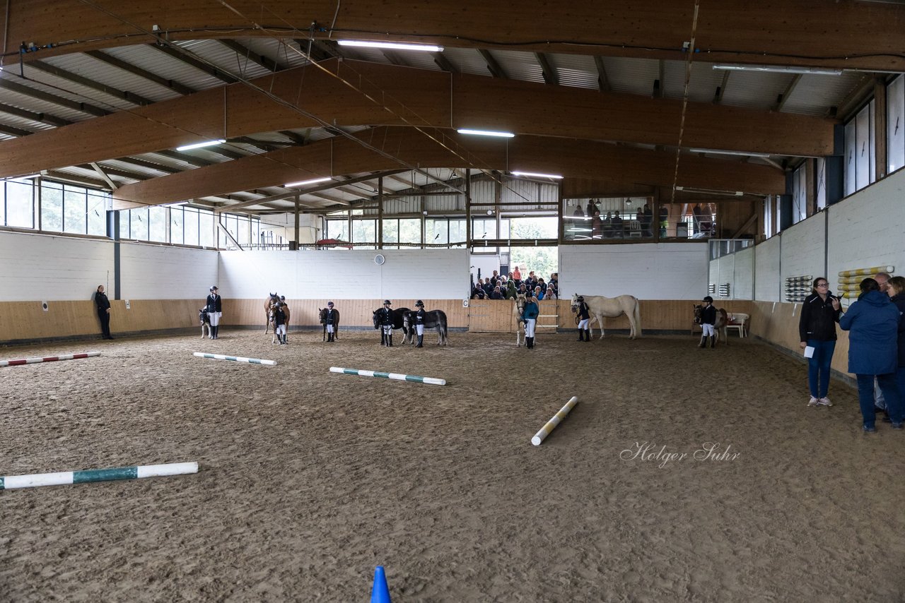 Bild 96 - Pony Akademie Turnier